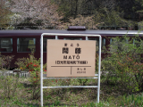 わたらせ渓谷鐵道 列車と駅名板