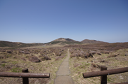 阿蘇山西付近の遊歩道