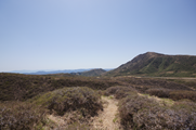 阿蘇山西付近の遊歩道